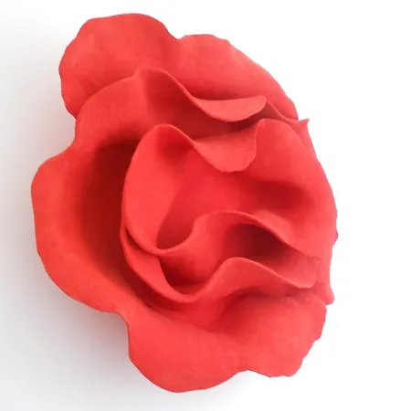 فندق مبيت وإفطار Arco' Cattedrale تراني